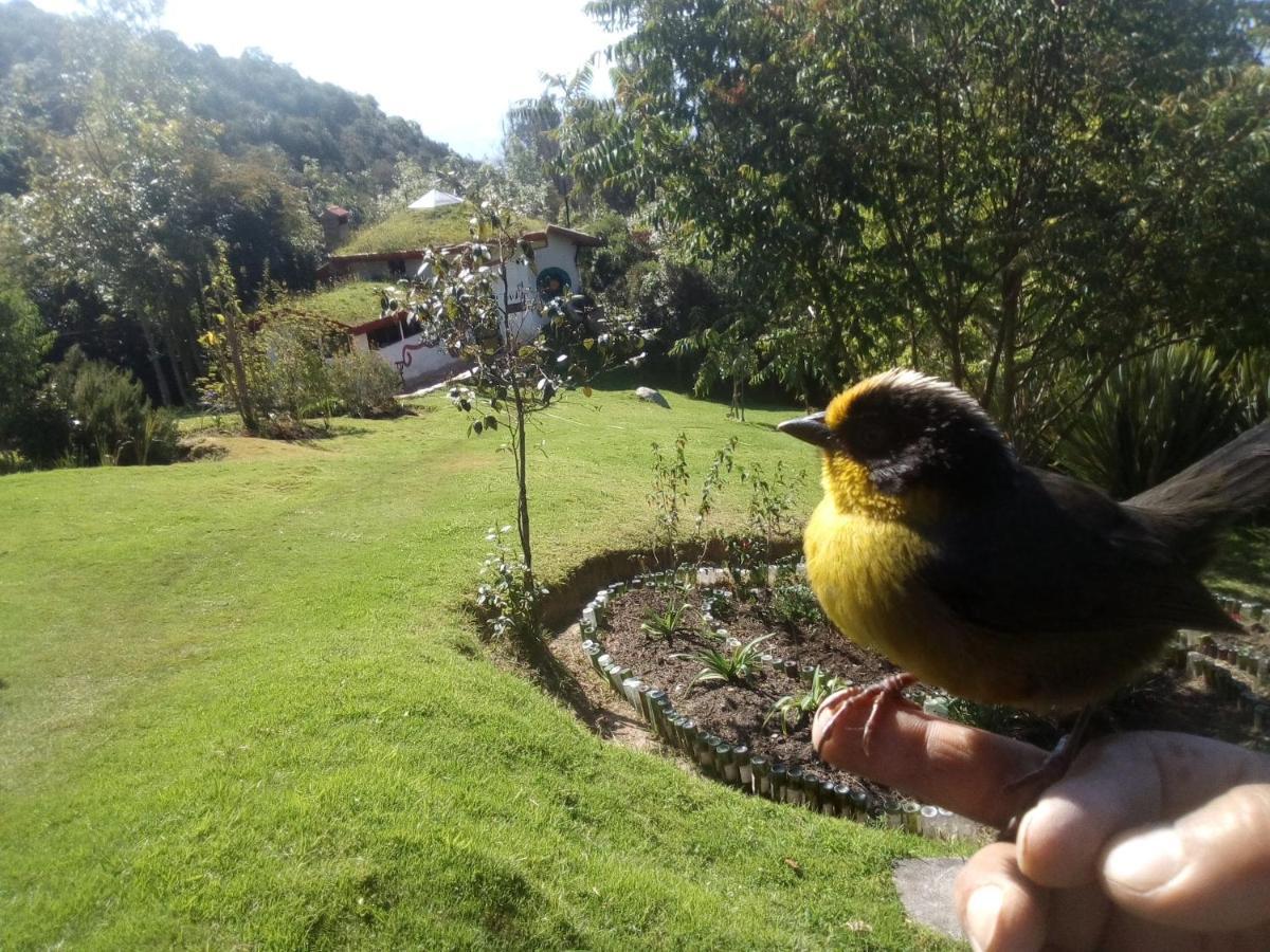 فيلا Jardin Colibri Rnt 33633 جوتافيتا المظهر الخارجي الصورة